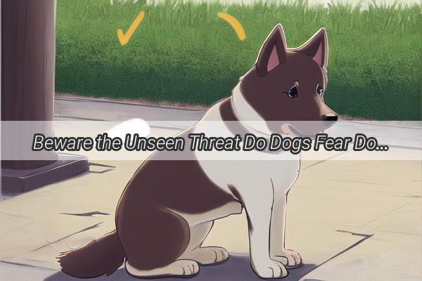 Beware the Unseen Threat Do Dogs Fear Dog Bites to Their Paws